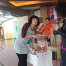 빠나따스포츠클럽 이미지