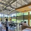 뫼루니육교 밑(운중로) | [서판교 맥도날드 신메뉴 출시 기념 탐방_익산 고구마 모짜렐라 버거_서판교 DT점]