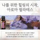 도곡농협 (제2APC) | [도곡 매봉]재활 아로마 필라테스 전문센터, <이연필라테스>그룹레슨 후기