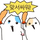 플로리다 농장 이미지