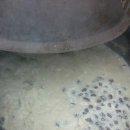 청풍호로 이미지