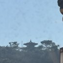 연무초등학교 | 무계획자의 수원 화성 행궁 나들이 대실패 후기 🥹 (주차 지옥, 행궁 못 감)