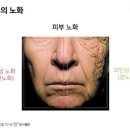 피부N(피부엔) 이미지