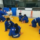 성남 중앙 유도체육관 이미지