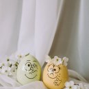 빅볼랜드 이미지