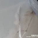 모터피플