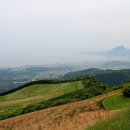 일본 오이타현 <벳부 온천지옥순례, 유황꽃재배단지> 이미지