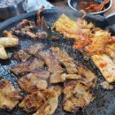 해말금