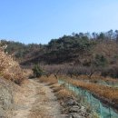 청통면-대평리-5