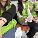 [DB손해보험_드리머15기]_02 유기견 봉사 활동