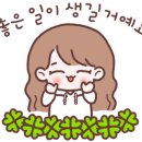 거제비타민씨 네이버블로그