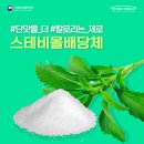 비올 이미지