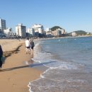 벌떼축산 이미지