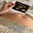 1201 | 영통 임산부 왁싱 잘하는 곳 찾는다면? 후기로 증명하는 모데이왁싱 영통점[임산부 왁싱 전문]