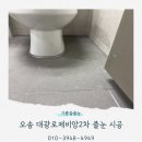 대광로제비앙2차경로당 | 오송 대광로제비앙2차 줄눈 시공 후기 │ 26년 입주 세대 백시멘트 오염 정리