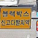 오늘우리집비어 Daum카페