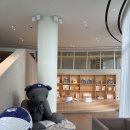 이호발전소 | [제주숙소] 수영장 호텔 20만 원대? '신라스테이 플러스 이호테우' 솔직 후기