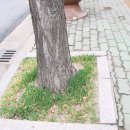 재매정길 이미지