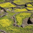 토탈미술관 이미지