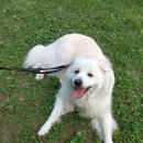 ㈜생보부동산신탁 | 낙찰된 신탁부동산의 납세의무자