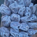 동천행정사 이미지