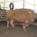 차오름농장 이미지