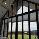 추억만 남개 이미지