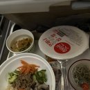 2221 | 뉴욕(JFK) 인천행 아시아나 직항 OZ2221기내식 후기 급유 문제로 오사카 경유한 이야기 4시간 지연도착엔딩