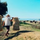 (수용지구)PC-13 이미지