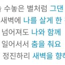 향란노래바 | 2024 02 07 수요일 낮공 뮤지컬 드라큘라 🩸 자둘 샤 썸머 팜트리페어..🥹🤍