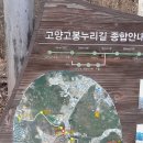 상거리정류장 Daum카페