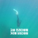 백상어 | 강원도 고성 | 가진항 프리다이빙 포인트 스팟 보트다이빙 펀다이빙 백상어다이빙리조트 이용 후기