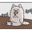 컴잘알 이미지