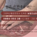 농협경제지주 주식회사 고령축산물공판장 | [출처] 고령축산물공판장 왜 이러나… 이번엔 한우 목심서 대장균 검출|작성자 영남경제신문