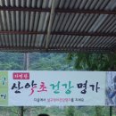 살구정이 이미지