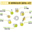탄소중립실천 제로웨이스트 이미지