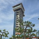 서해랑길(트레킹) 코스 | 금호트레킹클럽 2025년 07월 트레킹 서해랑길59코스 &amp; 죽도 2025.07.06