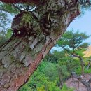 태림농장 이미지