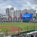 야친자의 직관 후기 모음.zip (부산사직야구장, 창원NC파크)