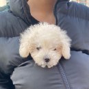 광장뽑기 이미지