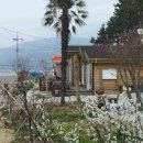 바닷가로뎀나무펜션 이미지