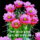 속초시노인복지관 이미지