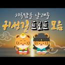 G1 강원방송 유튜브영상 이미지