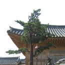 다원태양광 이미지