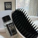 밍약국 | 스칼프100(SCALP 100) 솔직후기: 탈모 브러쉬 사용법부터 샴푸 샘플러 증정까지 갓벽 정리