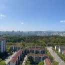 분당-395 이미지