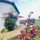 토끼집스테이 이미지