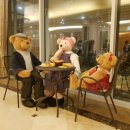 테디벨리 이미지