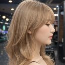 무실롯시점 스타일 업그레이드 원주미용실의 로이드밤으로 실현하는 새로운 변신