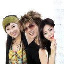비쥬 Daum카페